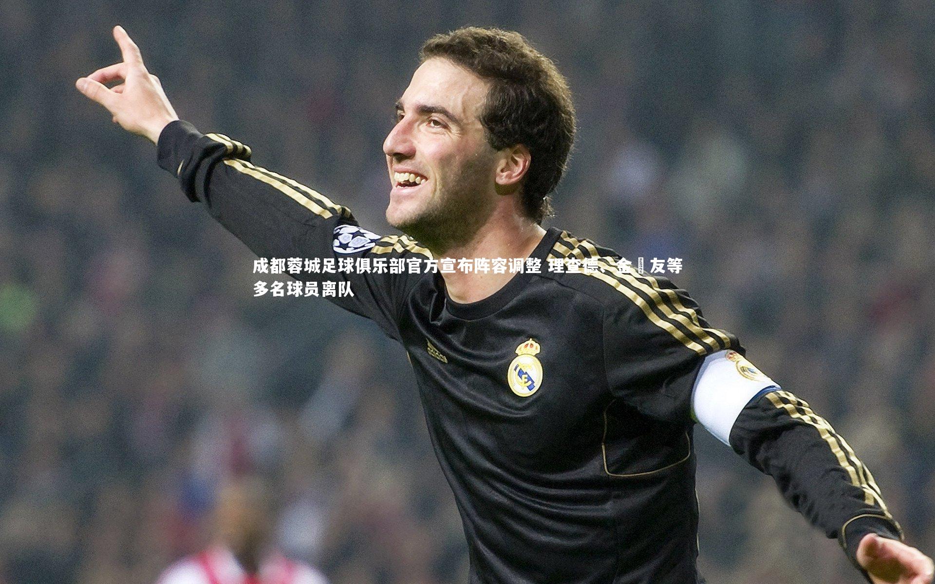 成都蓉城足球俱乐部官方宣布阵容调整 理查德、金敃友等多名球员离队